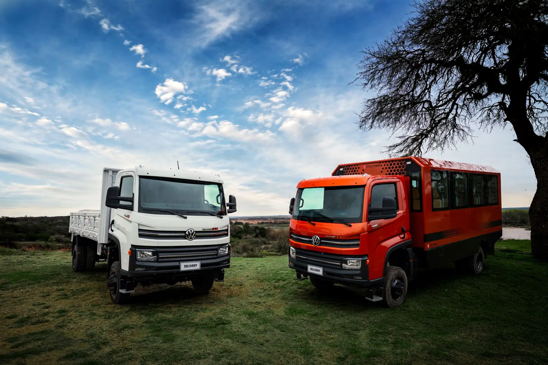 Camiones Volkswagen Delivery en el campo